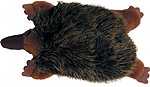 echidna magnet